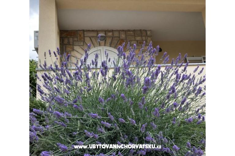 Appartamenti Iva – foto 10