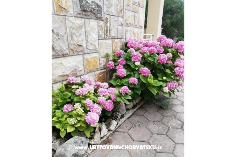 Appartamenti Iva – foto 12