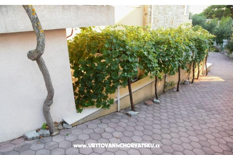 Appartamenti Iva – foto 13