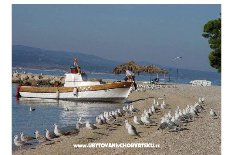Appartamenti Milić Promajna – foto 17