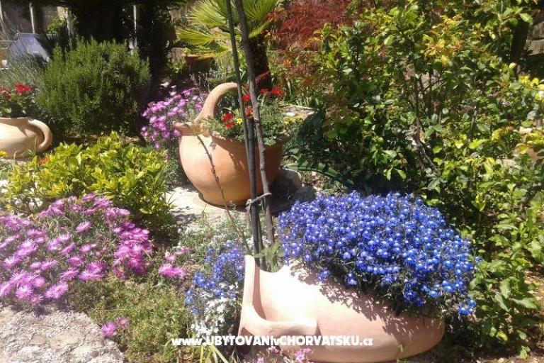 Appartamenti Sulic-Krvavica – foto 24