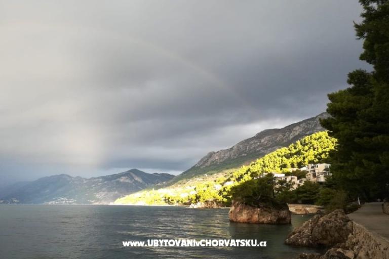 Appartamento Rose – foto 17