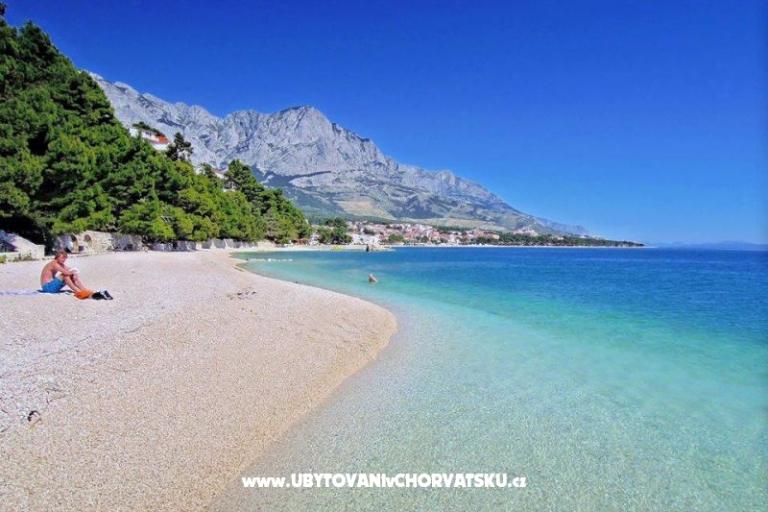 Appartamenti Mimoza – foto 10