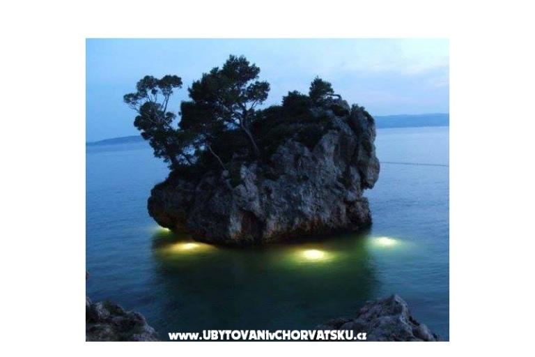 Appartamenti Mimoza – foto 16
