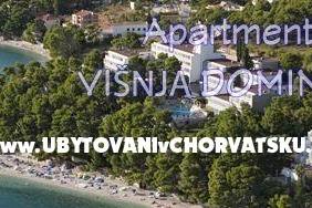 Appartamenti Mimoza – foto 8
