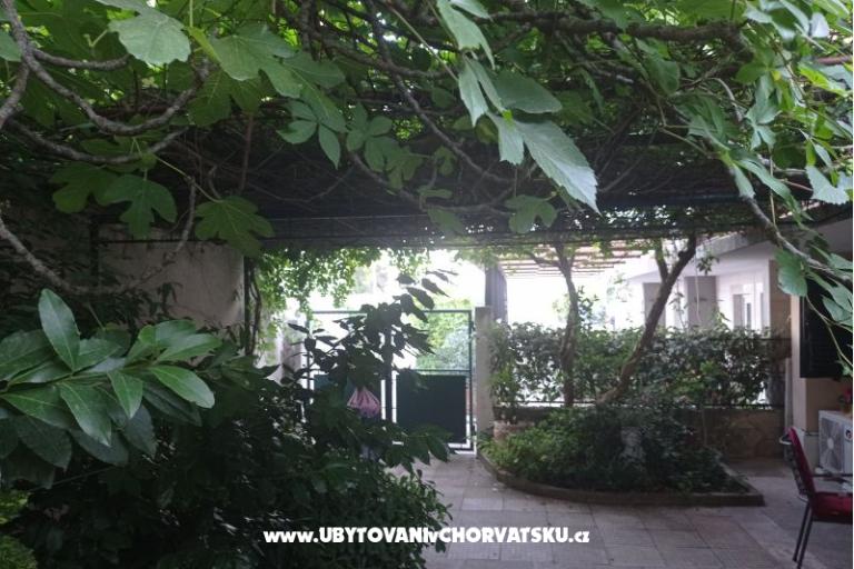 Bukovac – foto 12