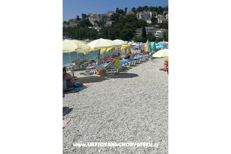 Elka – foto 16