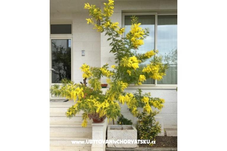 Casa Grazia – foto 7