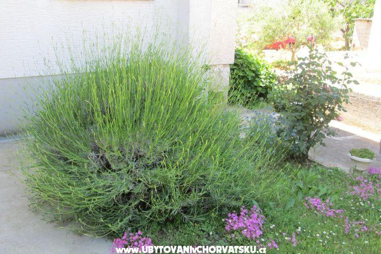 Appartamento Dara – foto 14