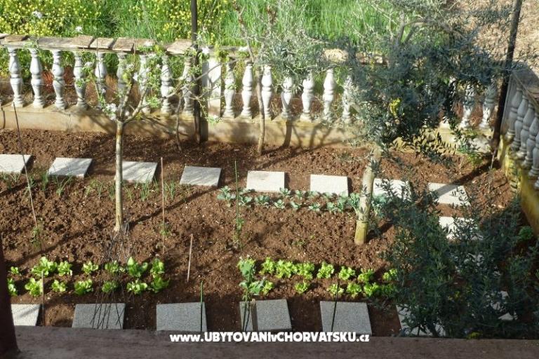 Appartamento Petar i Agica Sabljak – foto 14