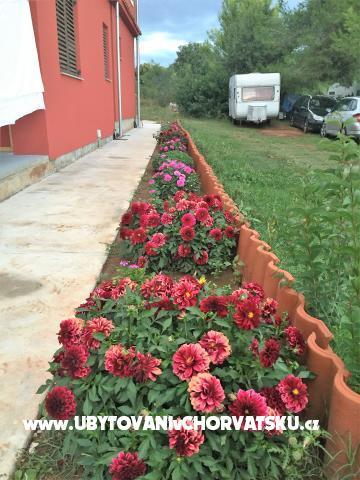 Appartamenti Gabrijel – foto 3