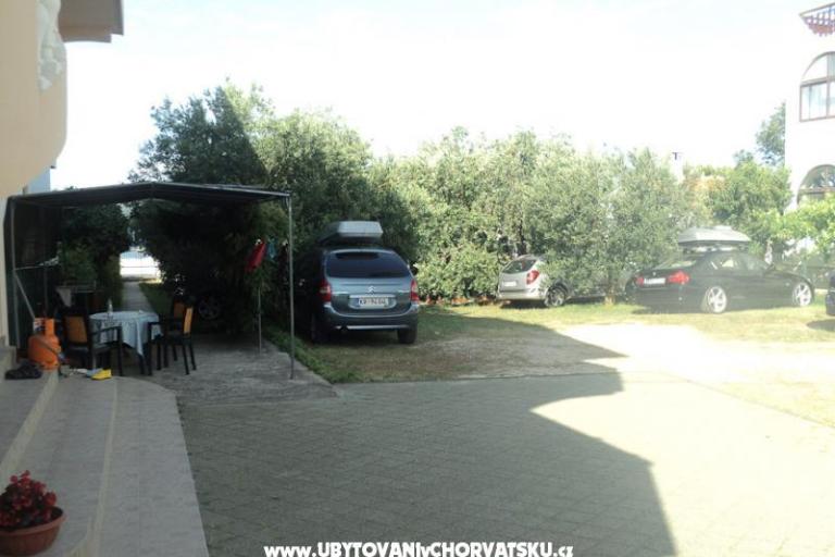Appartamenti  Maslina – foto 6