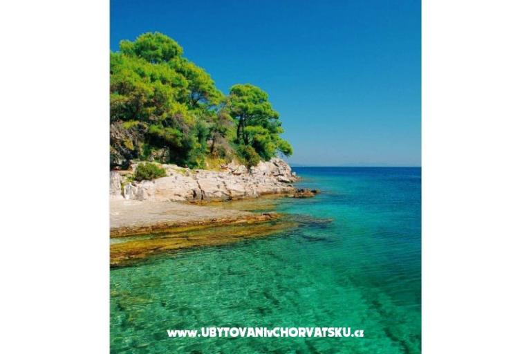 Appartamenti Mira – foto 17