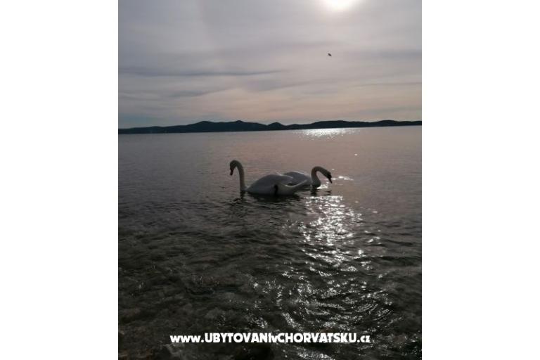 Appartamenti Vinko – foto 13