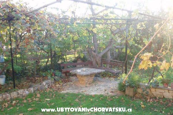 Appartamenti and Casa Spika – foto 6
