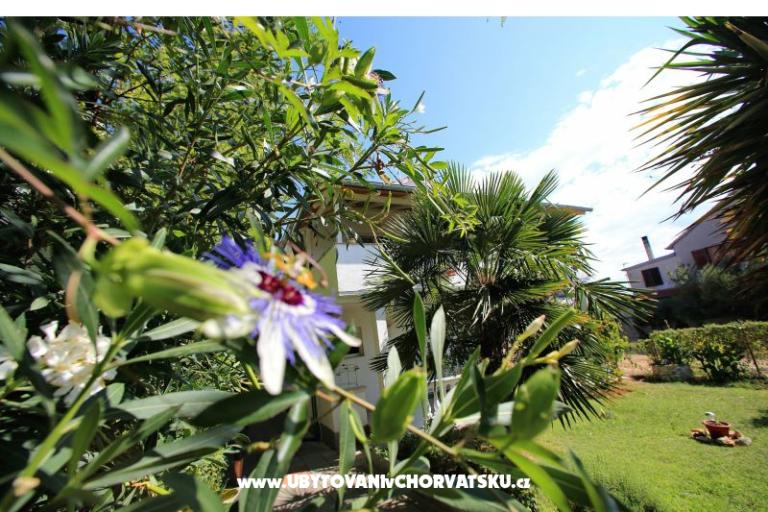 Appartamenti NICOL – foto 19