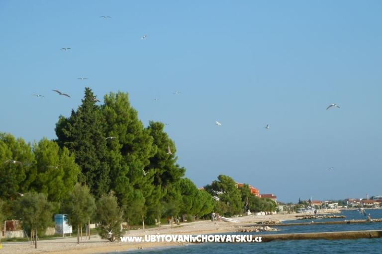 Bibinje Appartamenti – foto 11