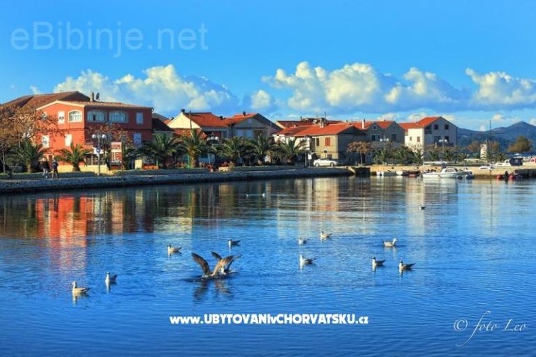 Appartamenti Filip – foto 3