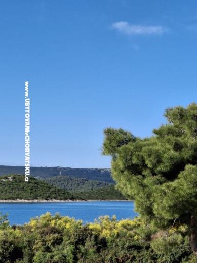 Villa D&J – foto 7