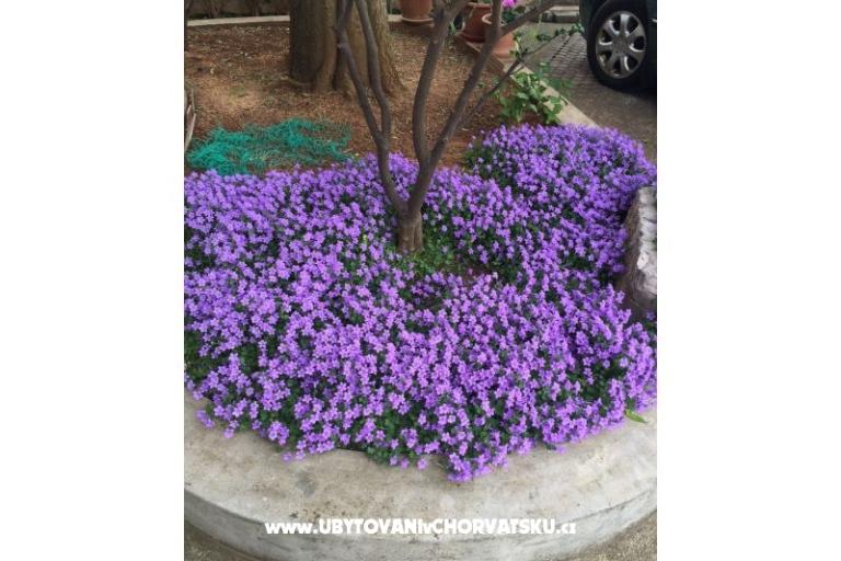 Appartamenti Jurov – foto 11
