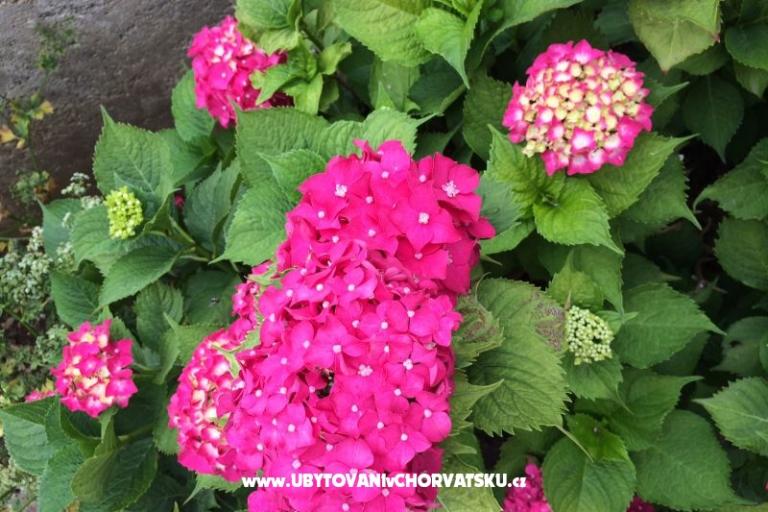 Appartamenti Jurov – foto 15