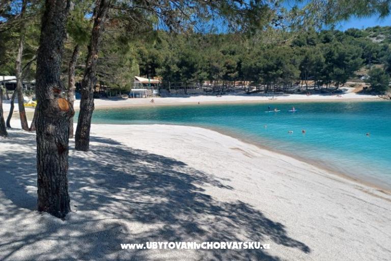 Appartamenti KIKO - Drage – foto 4