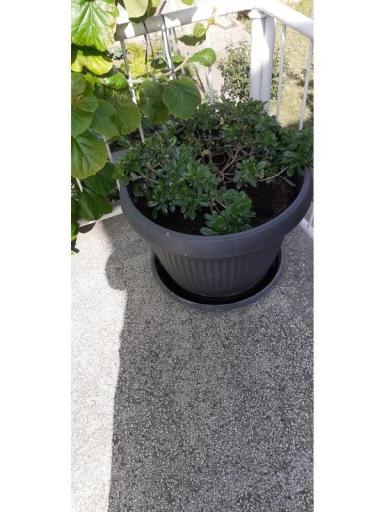 Appartamenti Margarita – foto 2