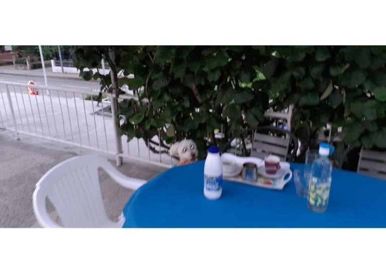 Appartamenti Margarita – foto 4
