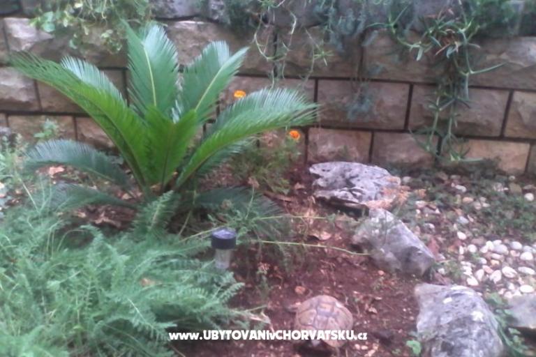 Appartamenti Mitja – foto 18