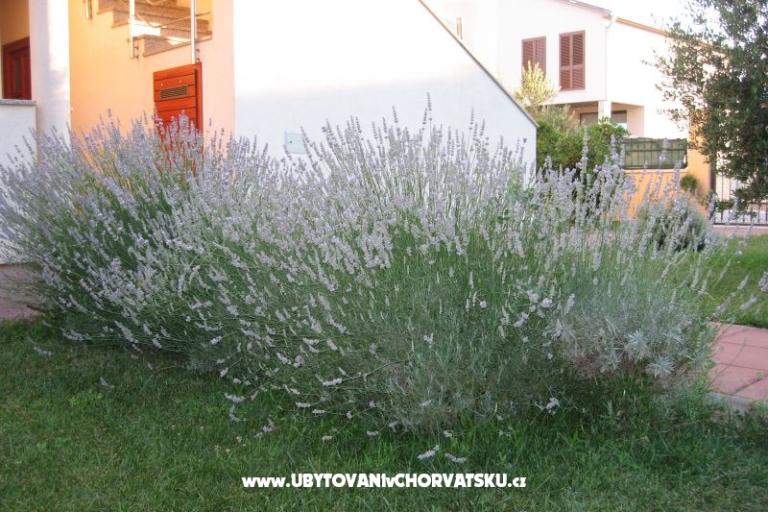 Appartamenti Blandona – foto 7