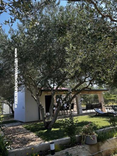 Primorje – foto 19
