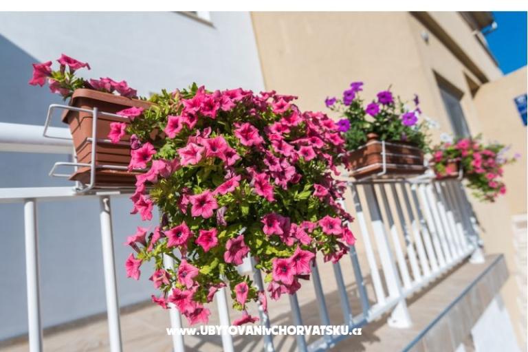 Appartamenti Galeb – foto 3