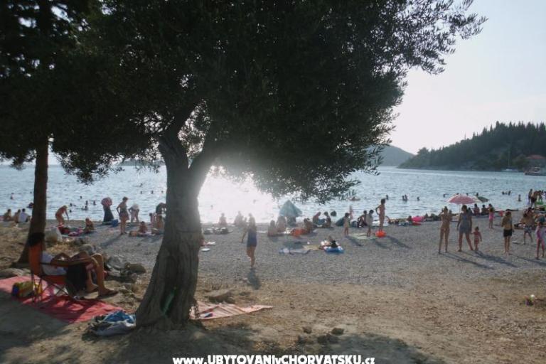 Appartamenti  Petar – foto 4