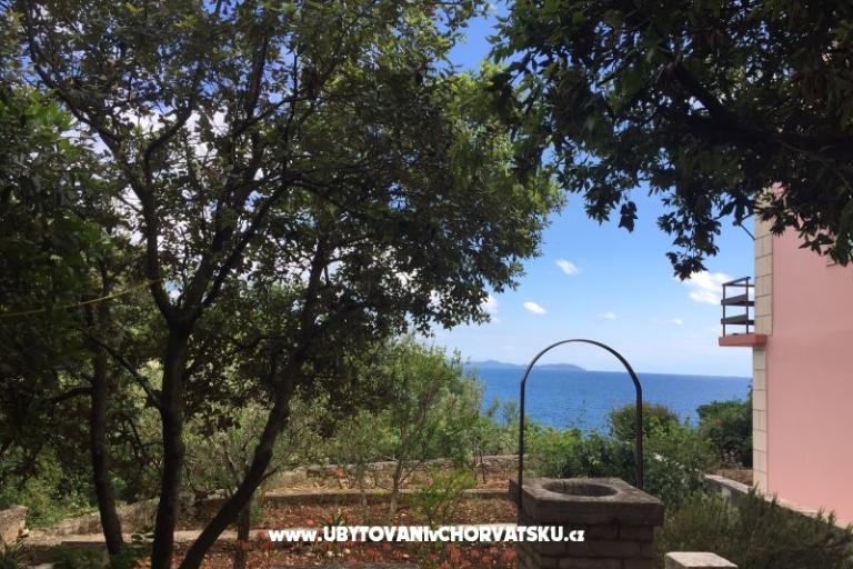 Appartamenti Kraljević – foto 18