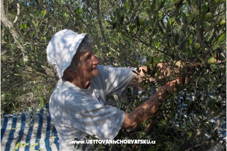 Pera Appartamenti – foto 13