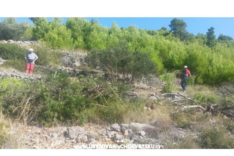 Pera Appartamenti – foto 15