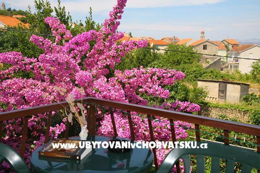 Appartamento Vladimir *** – foto 6