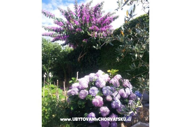 Appartamenti Kunac – foto 8