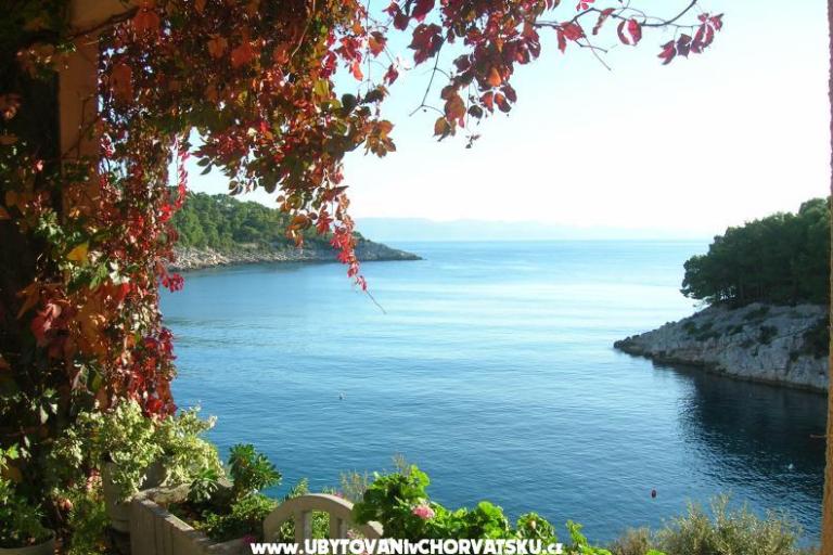 Appartamenti Rogosic – foto 15