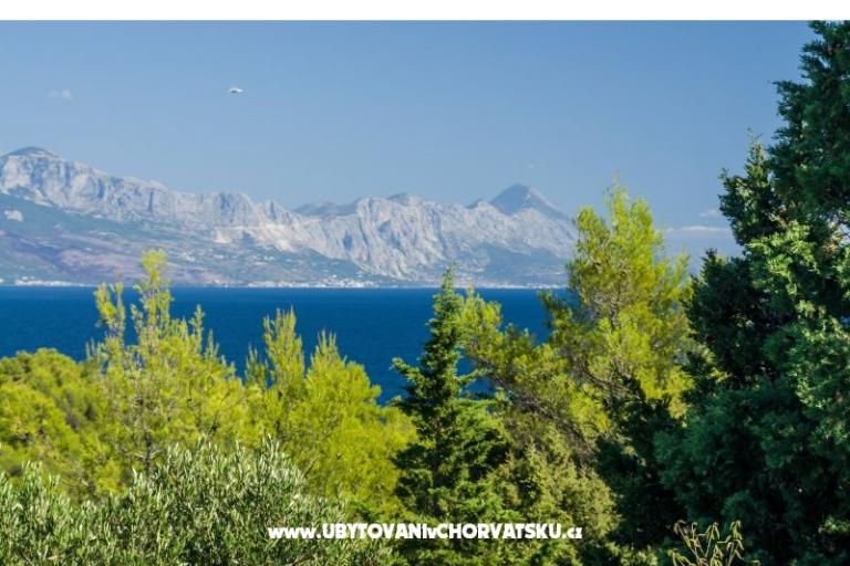 Appartamenti Silva – foto 10