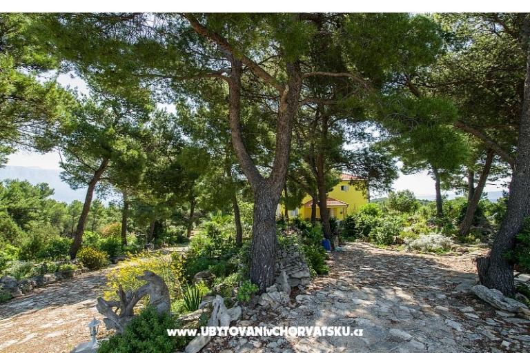 Appartamenti Chiaro – foto 10