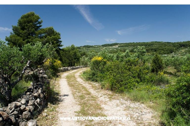 Appartamenti Chiaro – foto 14