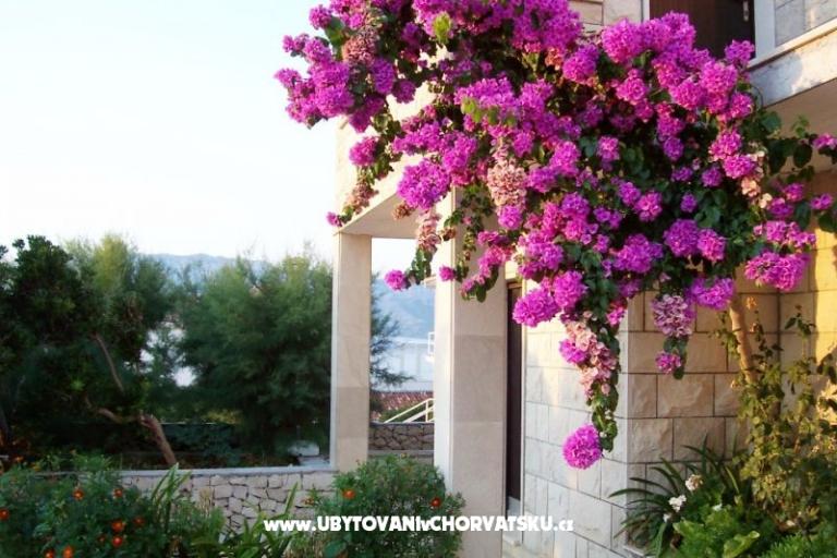 Appartamenti Villa Vanja – foto 6