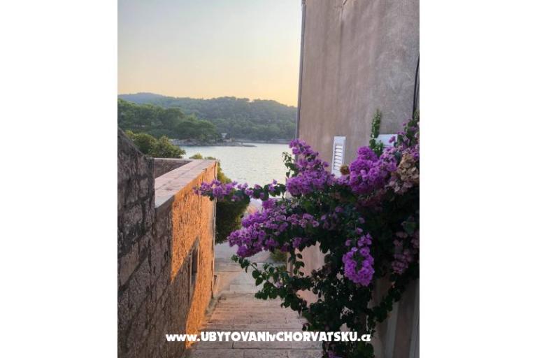 Casa Ankica – foto 21