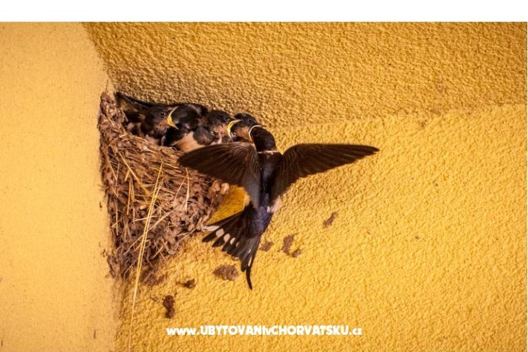 Peter´s Appartamento – foto 6