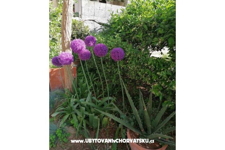 Appartamenti Vesna – foto 23