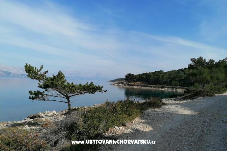Appartamenti Vesna – foto 24