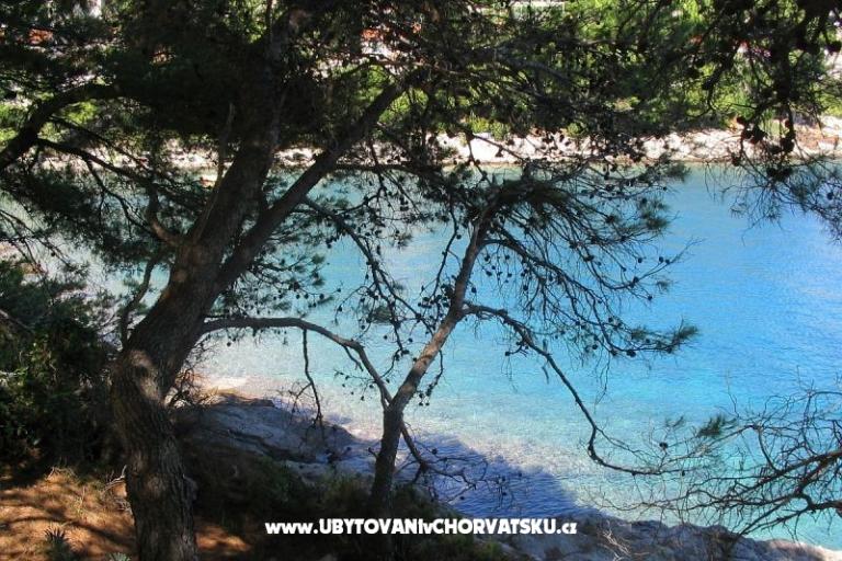 Sea Casa – foto 17