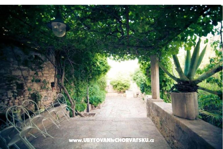 Villa Arboretum – foto 3