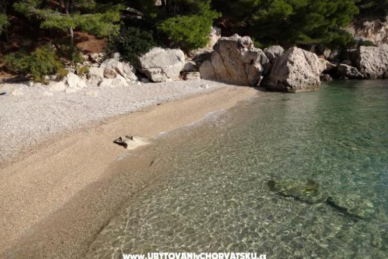 Appartamenti Jena, Pisak – foto 17